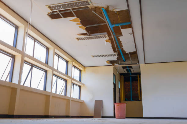 Best Residential water damage restoration  in Difficult Run, VA