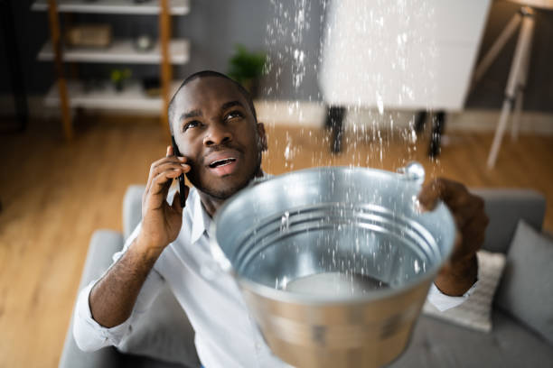 Best Water damage restoration process  in Difficult Run, VA