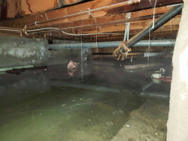 Best Fire Damage Restoration  in Difficult Run, VA