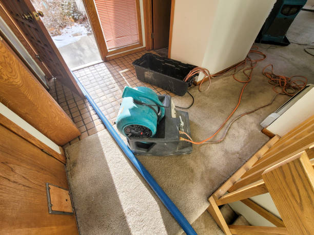 Best Flood damage cleanup  in Difficult Run, VA