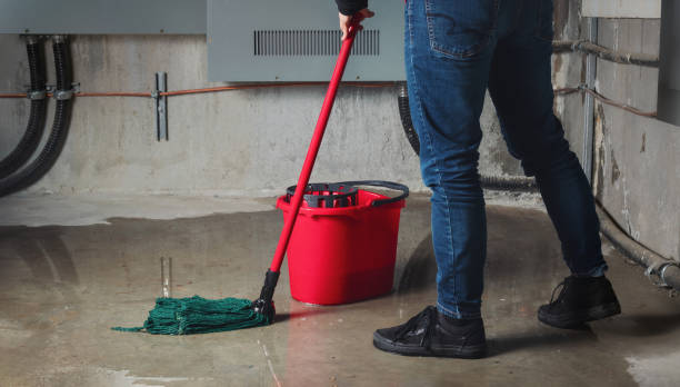 Best Basement water damage restoration  in Difficult Run, VA