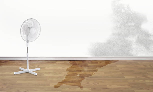Best Water damage contractors near me  in Difficult Run, VA