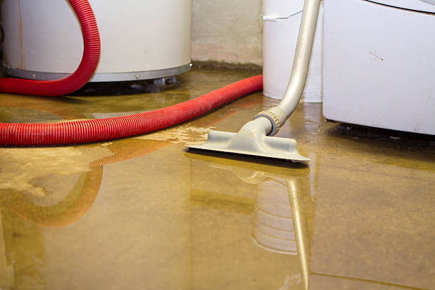 Best Ceiling water damage repair  in Difficult Run, VA