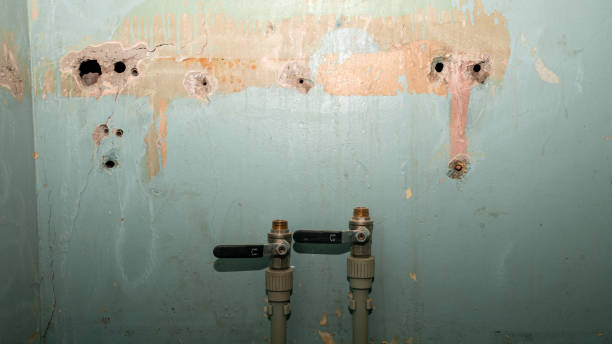 Best 24-hour water damage restoration  in Difficult Run, VA